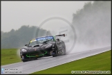 BTCC_Oulton_Park_070614_AE_052