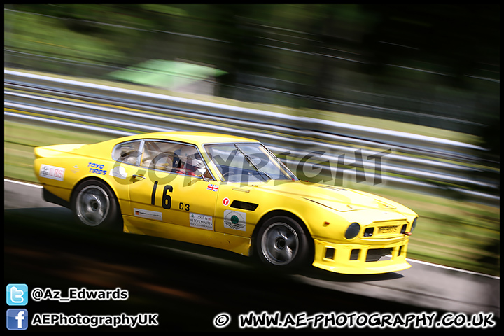 AMOC_Brands_Hatch_070713_AE_074.jpg