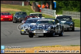 AMOC_Brands_Hatch_070713_AE_180