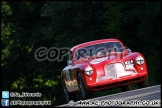 AMOC_Brands_Hatch_070713_AE_228