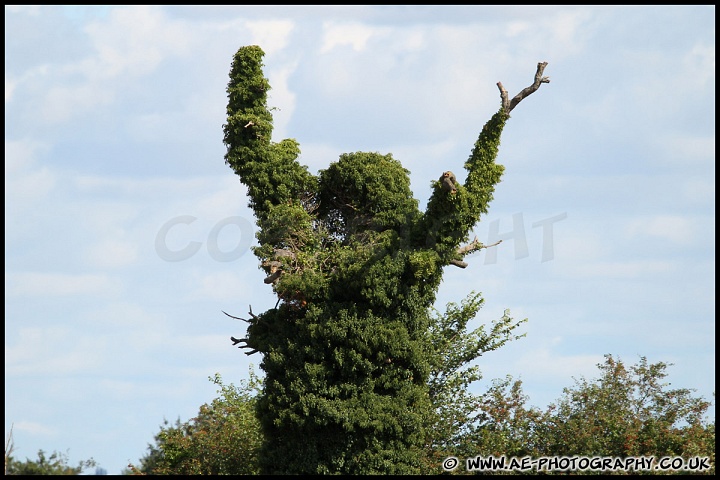 BTCC_and_Support_Snetterton_070811_AE_014.jpg