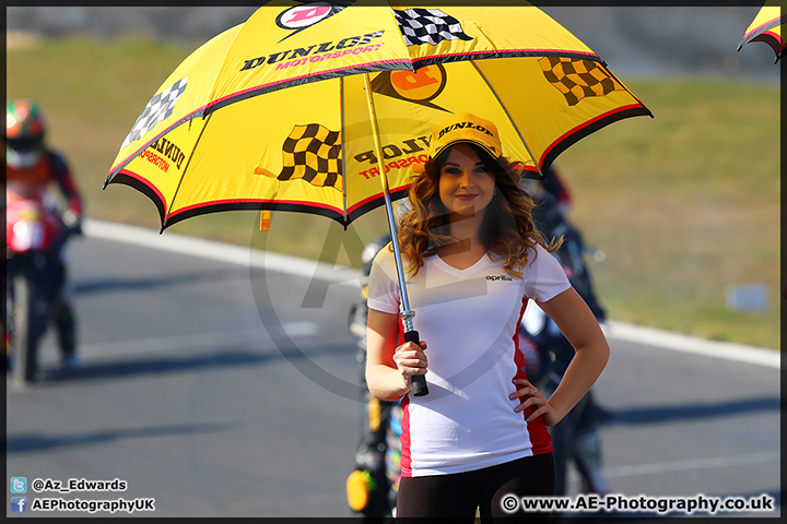 Thundersport_Brands_Hatch_08-03-15_AE_065.jpg