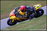 Thundersport_Brands_Hatch_08-03-15_AE_225