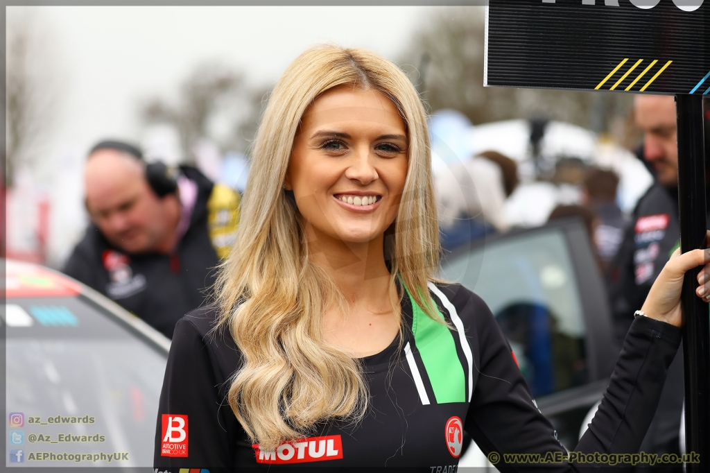 BTCC_Brands_Hatch_08-04-2018_AE_045.jpg