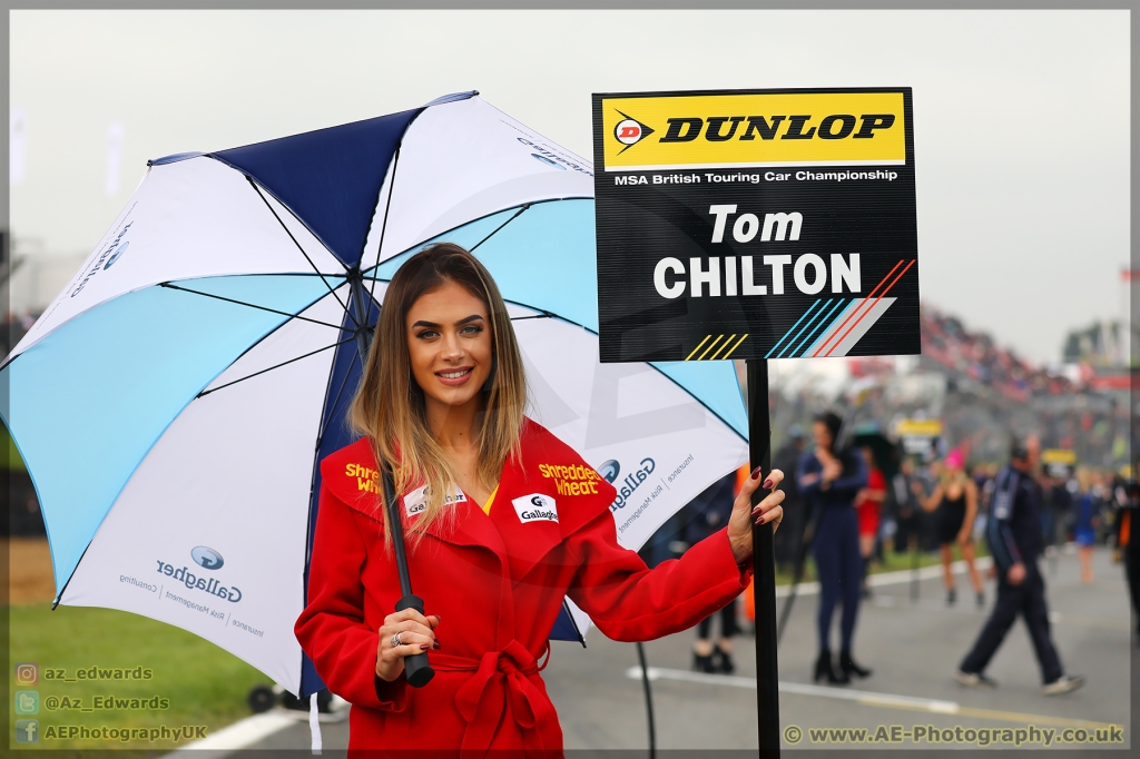 BTCC_Brands_Hatch_08-04-2018_AE_140.jpg