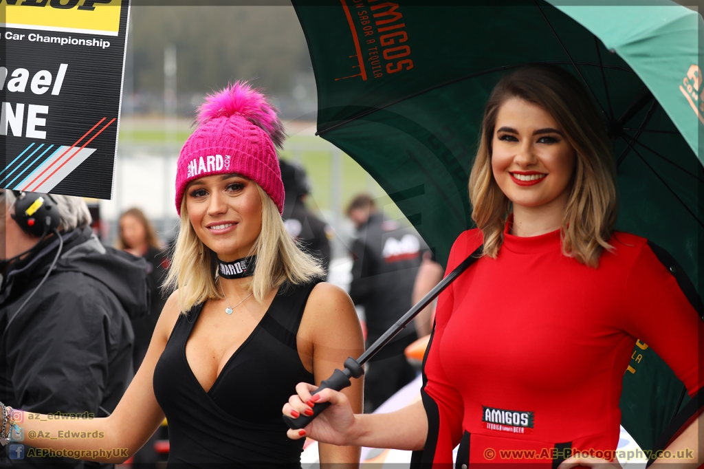 BTCC_Brands_Hatch_08-04-2018_AE_145.jpg