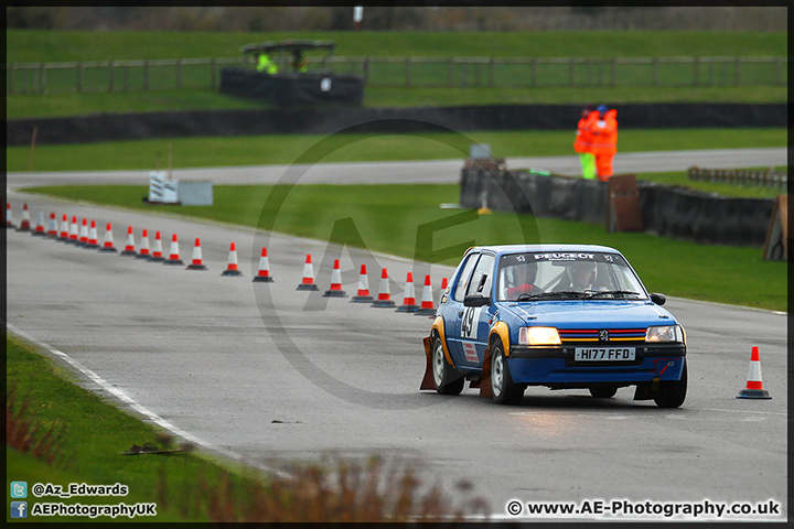 South_Downs_Rally_Goodwood_080214_AE_081.jpg