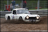 Classic_Sports_Car_Club_and_Support_Brands_Hatch_080510_AE_128