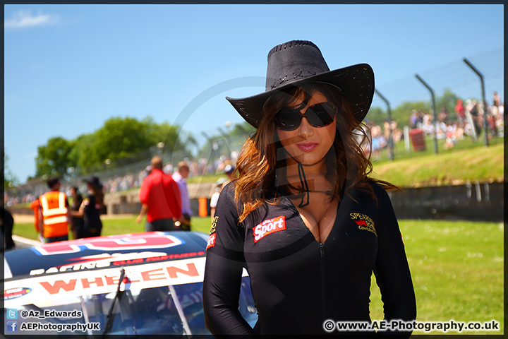 Speedfest_Brands_Hatch_080614_AE_048.jpg