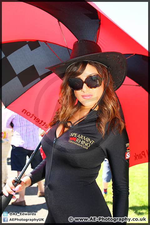 Speedfest_Brands_Hatch_080614_AE_061.jpg