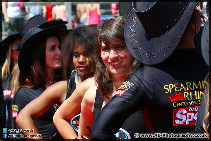 Speedfest_Brands_Hatch_080614_AE_130.jpg