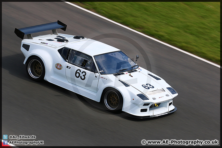Speedfest_Brands_Hatch_080614_AE_137.jpg
