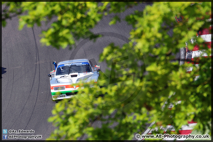 Speedfest_Brands_Hatch_080614_AE_173.jpg