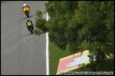 BSBK_and_Support_Brands_Hatch_081011_AE_081