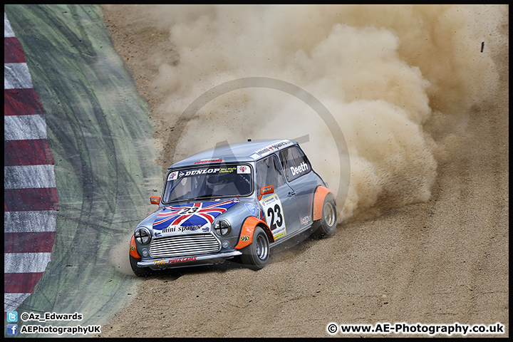 Mini_Festival_Brands_Hatch_09-07-17_AE_048.jpg