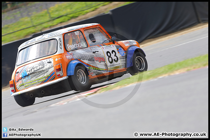 Mini_Festival_Brands_Hatch_09-07-17_AE_055.jpg