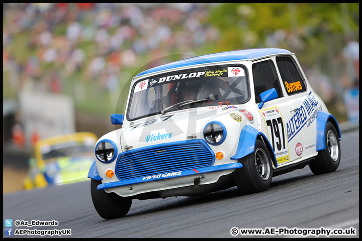 Mini_Festival_Brands_Hatch_09-07-17_AE_061.jpg