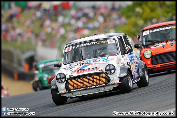 Mini_Festival_Brands_Hatch_09-07-17_AE_066.jpg