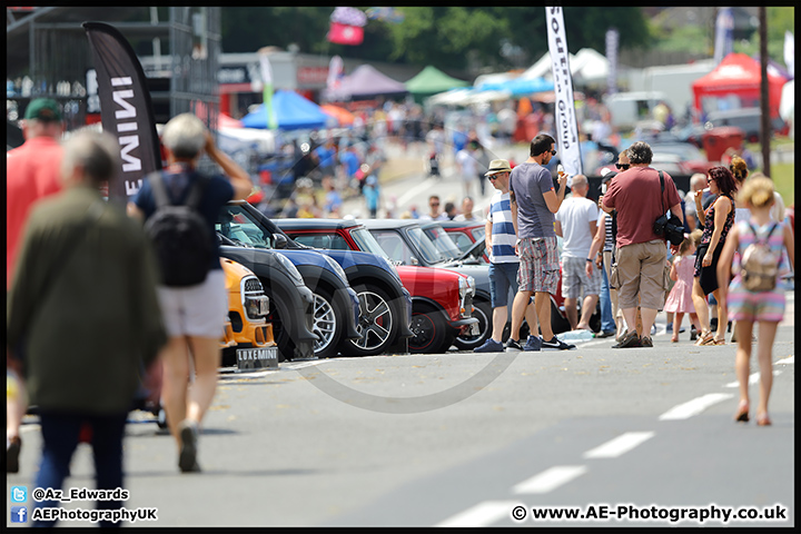 Mini_Festival_Brands_Hatch_09-07-17_AE_104.jpg