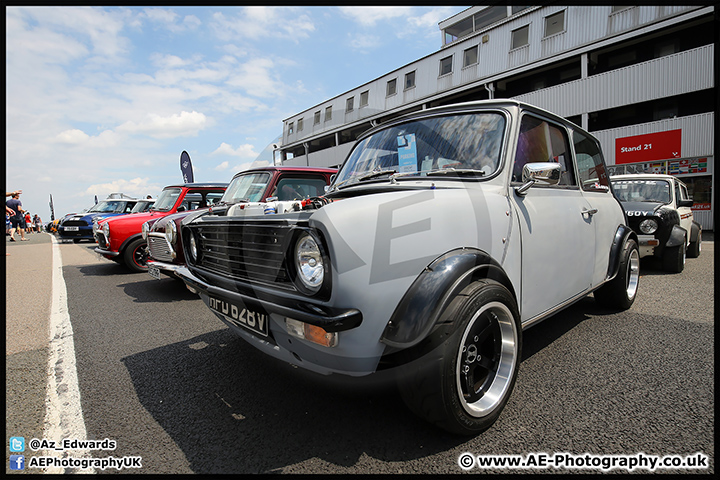 Mini_Festival_Brands_Hatch_09-07-17_AE_108.jpg