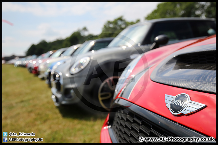 Mini_Festival_Brands_Hatch_09-07-17_AE_127.jpg