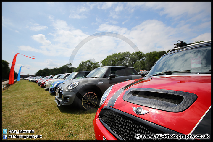 Mini_Festival_Brands_Hatch_09-07-17_AE_128.jpg