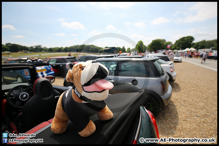 Mini_Festival_Brands_Hatch_09-07-17_AE_133.jpg