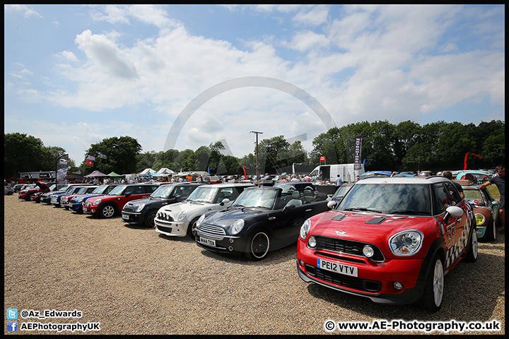 Mini_Festival_Brands_Hatch_09-07-17_AE_134.jpg