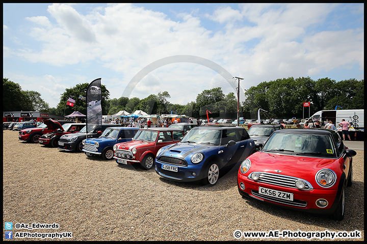 Mini_Festival_Brands_Hatch_09-07-17_AE_135.jpg