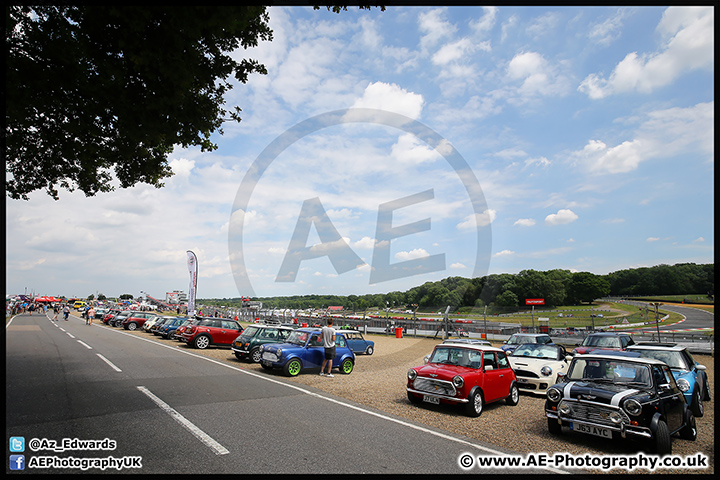 Mini_Festival_Brands_Hatch_09-07-17_AE_139.jpg