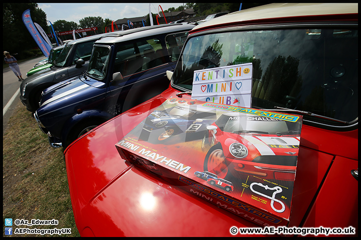 Mini_Festival_Brands_Hatch_09-07-17_AE_140.jpg