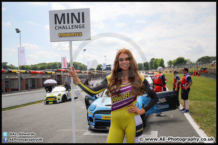 Mini_Festival_Brands_Hatch_09-07-17_AE_147.jpg