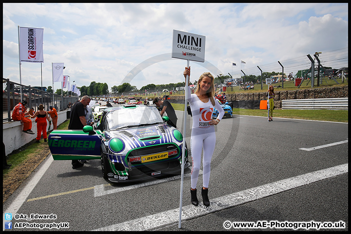 Mini_Festival_Brands_Hatch_09-07-17_AE_148.jpg