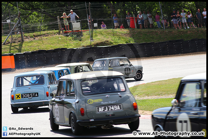 Mini_Festival_Brands_Hatch_09-07-17_AE_197.jpg