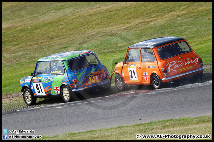 Mini_Festival_Brands_Hatch_09-07-17_AE_224.jpg