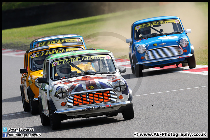 Mini_Festival_Brands_Hatch_09-07-17_AE_228.jpg