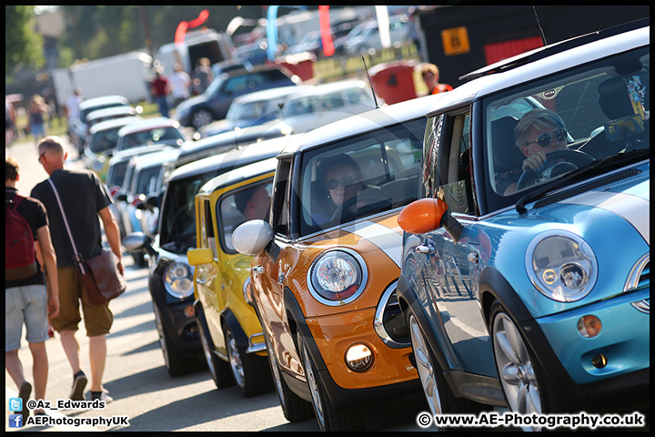 Mini_Festival_Brands_Hatch_09-07-17_AE_260.jpg