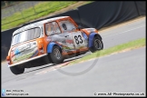 Mini_Festival_Brands_Hatch_09-07-17_AE_055