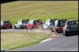 Mini_Festival_Brands_Hatch_09-07-17_AE_234