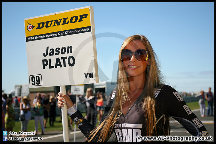 BTCC_Snetterton_09-08-15_AE_033.jpg