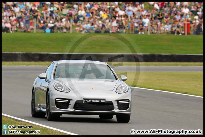 BTCC_Snetterton_09-08-15_AE_099.jpg