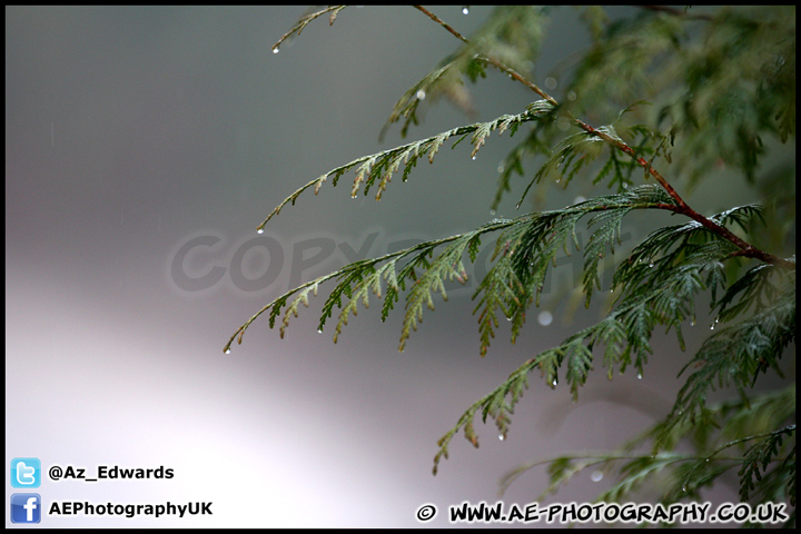 Wyedean_Rally_090213_AE_001.jpg