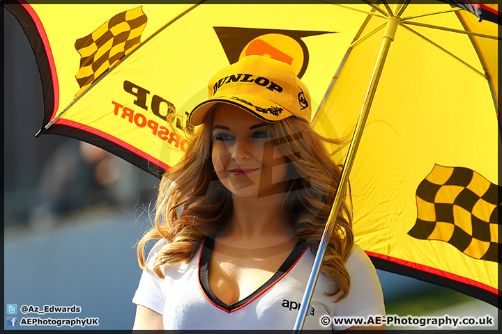 Thundersport_Brands_Hatch_090314_AE_069.jpg