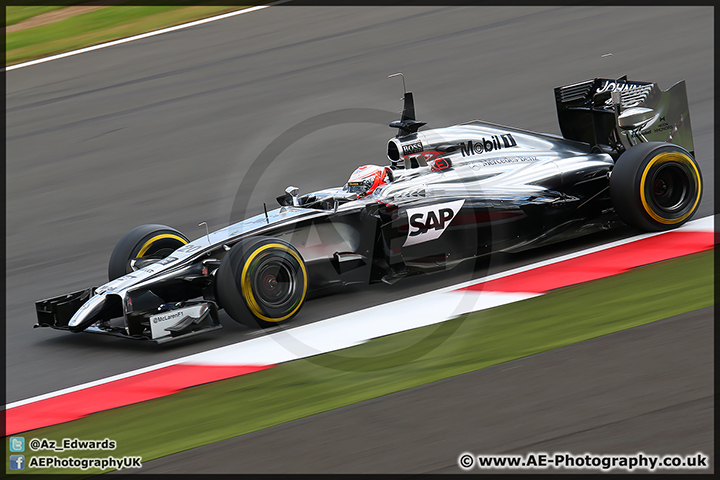 F1_Testing_Silverstone_090714_AE_011.jpg