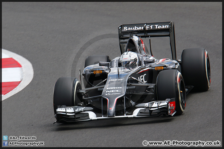 F1_Testing_Silverstone_090714_AE_014.jpg