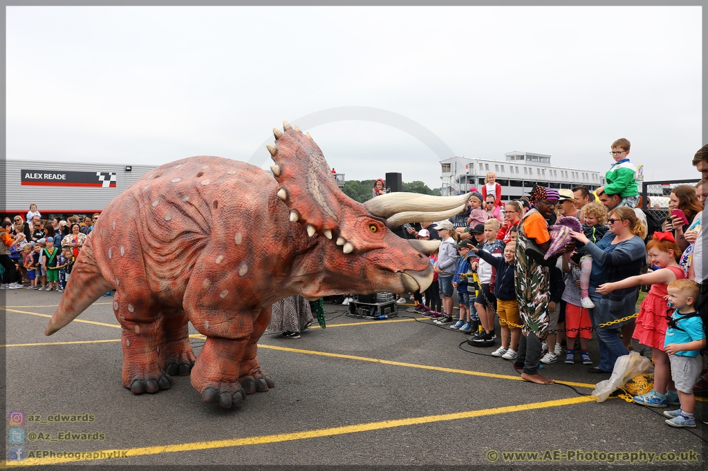 Speedfest_Brands_Hatch_10-06-2018_AE_045.jpg