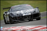 F3-GT_Brands_Hatch_100813_AE_029