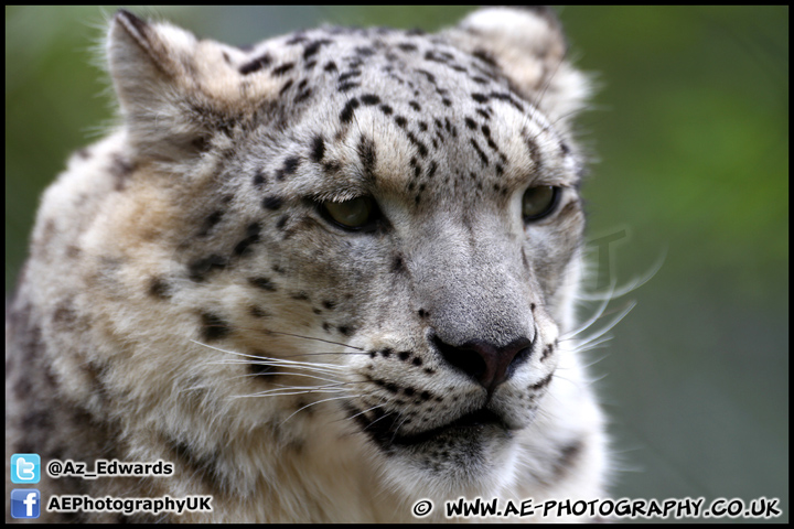 Marwell_Zoo_100912_AE_005.jpg
