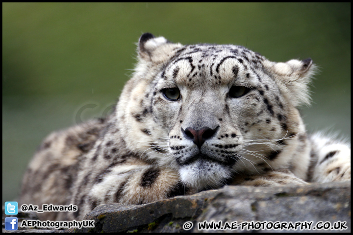 Marwell_Zoo_100912_AE_011.jpg
