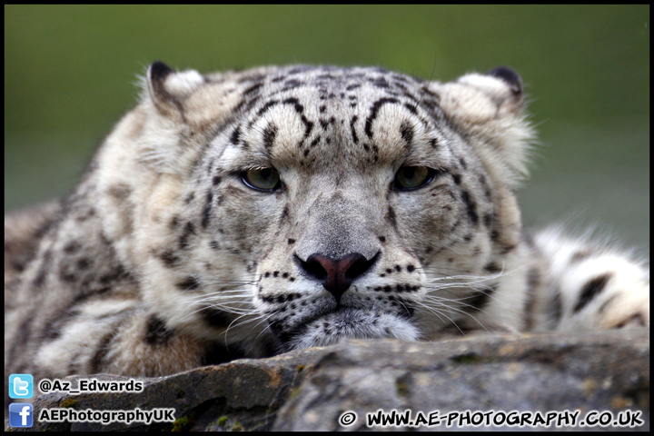 Marwell_Zoo_100912_AE_012.jpg